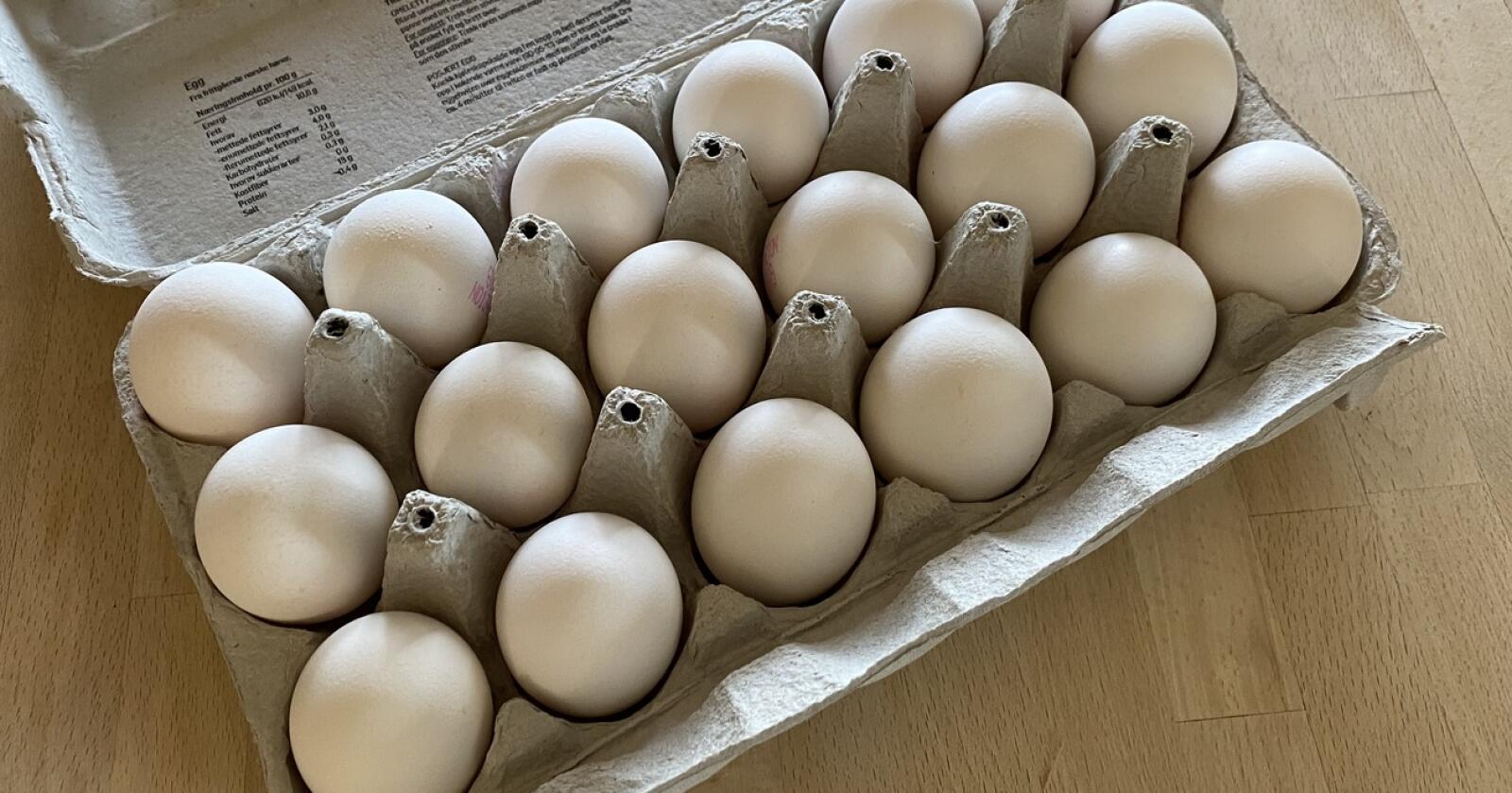 REKORDPRISER: Danskene forventer en kraftig prisøkning på egg. Kanskje må du ut med 160 norske kroner for en karting med 18 egg i Danmark til sommeren? Foto: Dag Idar Jøsang