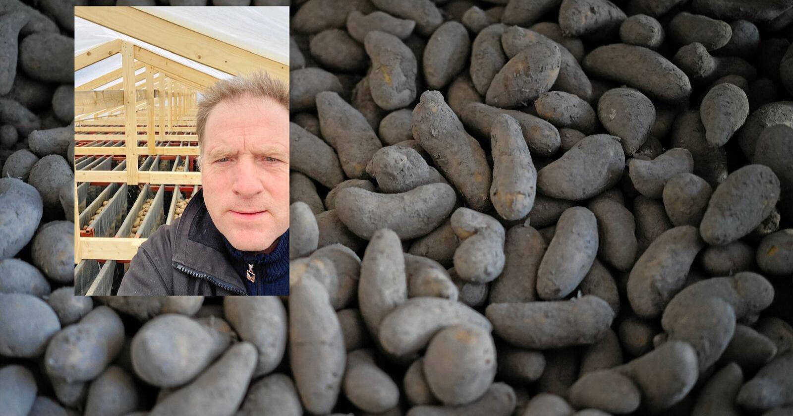 Potetbonden Morten Tømte mener det er mulig å få produsert mer potet, men at det haster. Foto: Benjamin Hernes Vogl/Privat