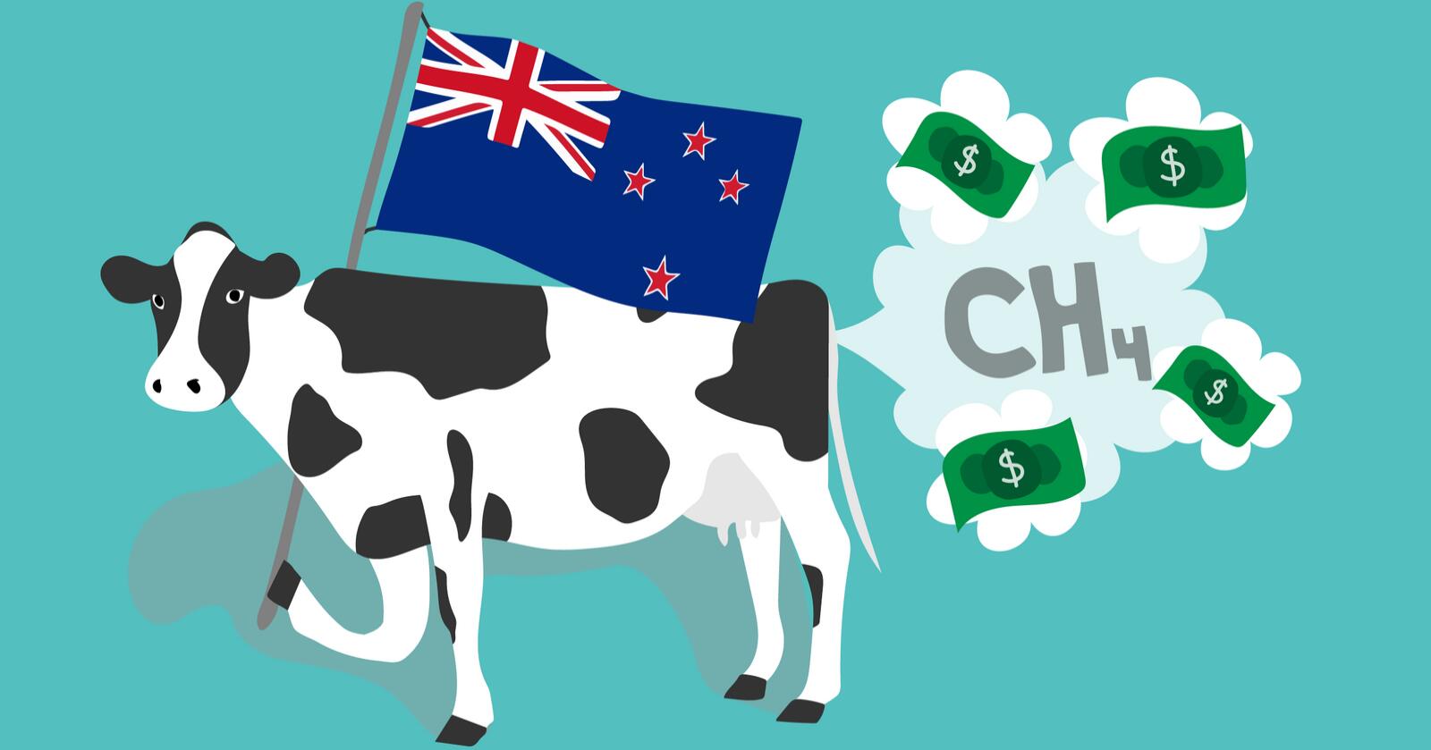 For å få ned klimautslippene på New Zealand vil landets regjering ha en avgift på utslipp fra husdyrhold. Illustrasjon. Illustrasjon: Jarand Ullestad