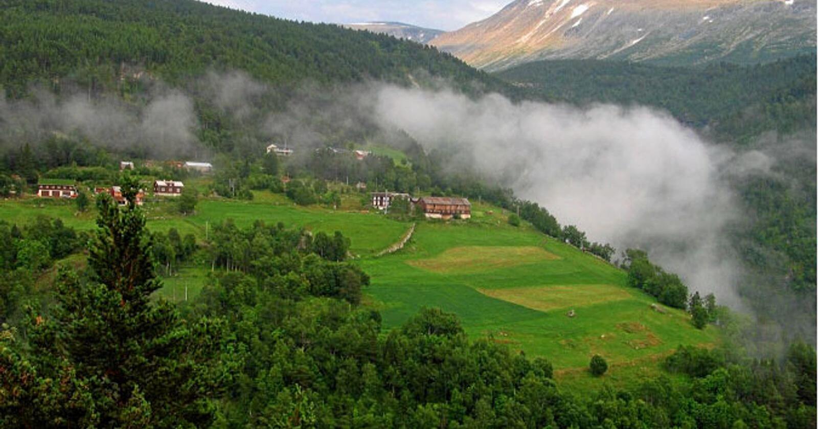 Fjellgardane og seterdalane i Øvre Sunndal er et av de to utvalgte kulturlandskap i Møre og Romsdal. Foto: Fylkesmannen i Møre og Romsdal