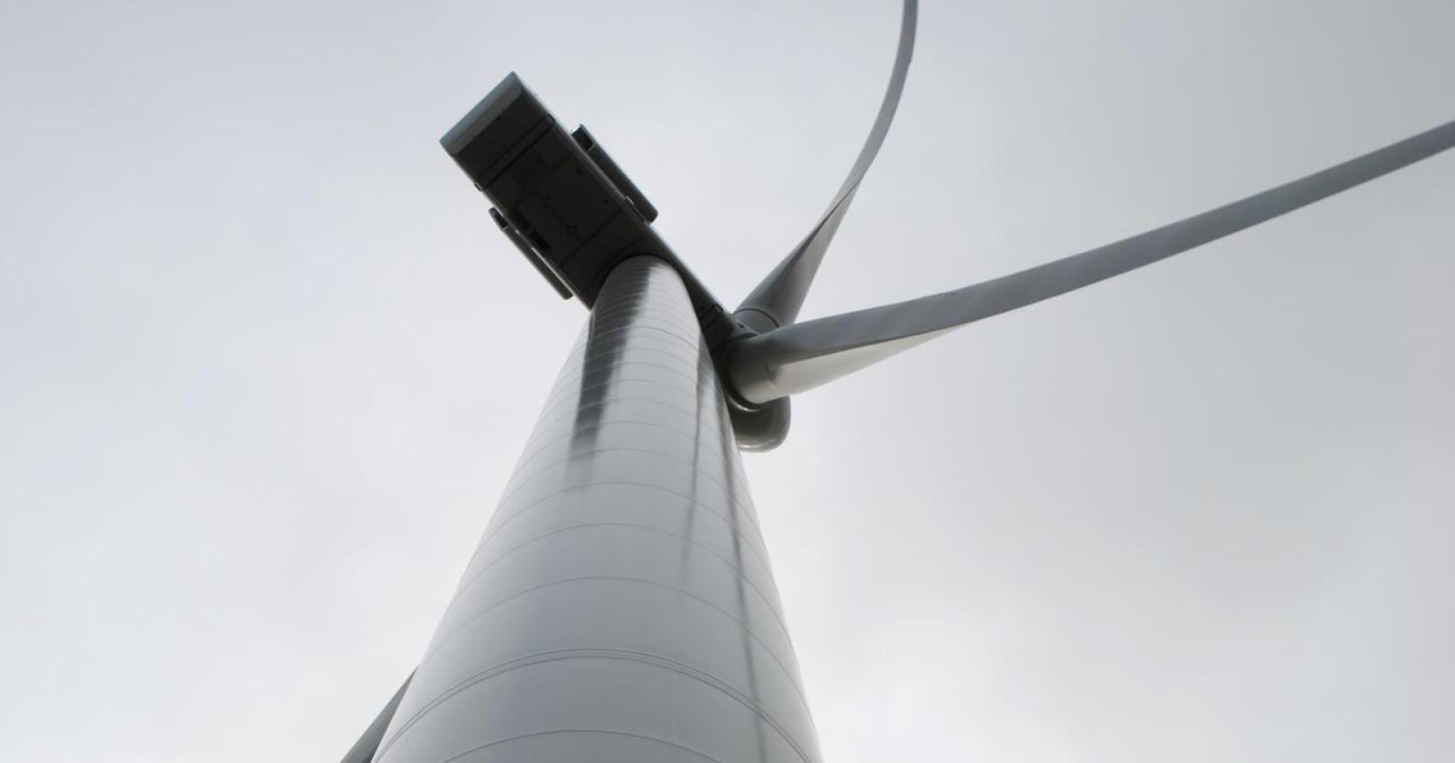 I prosjektbeskrivelsen oppgir selskapet at vindturbinene kan bli fra 220 til 270 meter høye. Bildet er fra Fosen. Foto: Lars Bilit Hagen