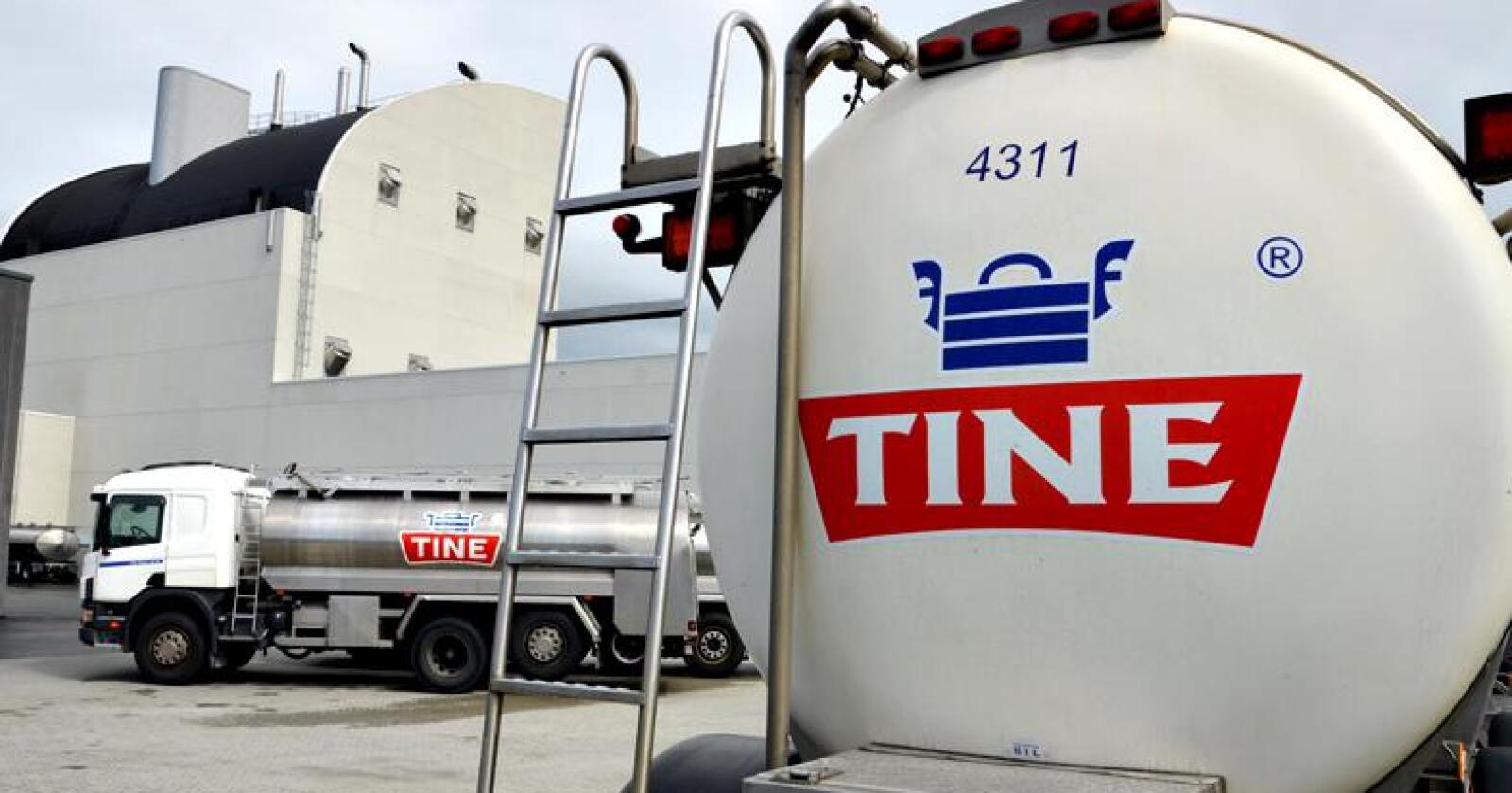 Det er Tines melkebiler som henter melka som er grunnlaget for Synnøve Findens produksjon. Arkivfoto