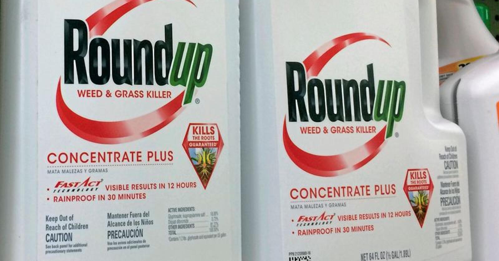 Ugressmiddelet Roundup inneholder glyfosat, og striden om hvorvidt stoffet er kreftfrekallende eller ikke pågår for tiden i flere instanser, deriblant rettsvesenet. Foto: Reed Saxon/NTB/Scanpix