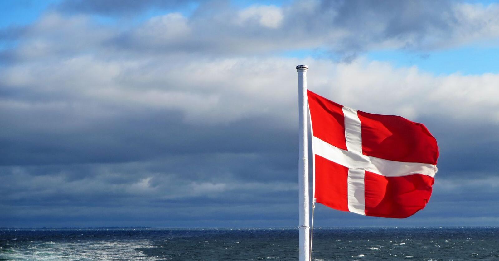 Danmark ønsker å innføre et klimamerke for mat innen EU. Foto: Mark König//Unsplash