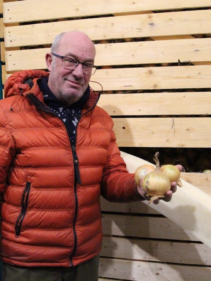 GOD KVALITET: Olav Brataas produserer nesten 1 000 tonn løk i året. Med nytt kjølelager sikrer han at kvaliteten holder seg gjennom hele lagringssesongen. 