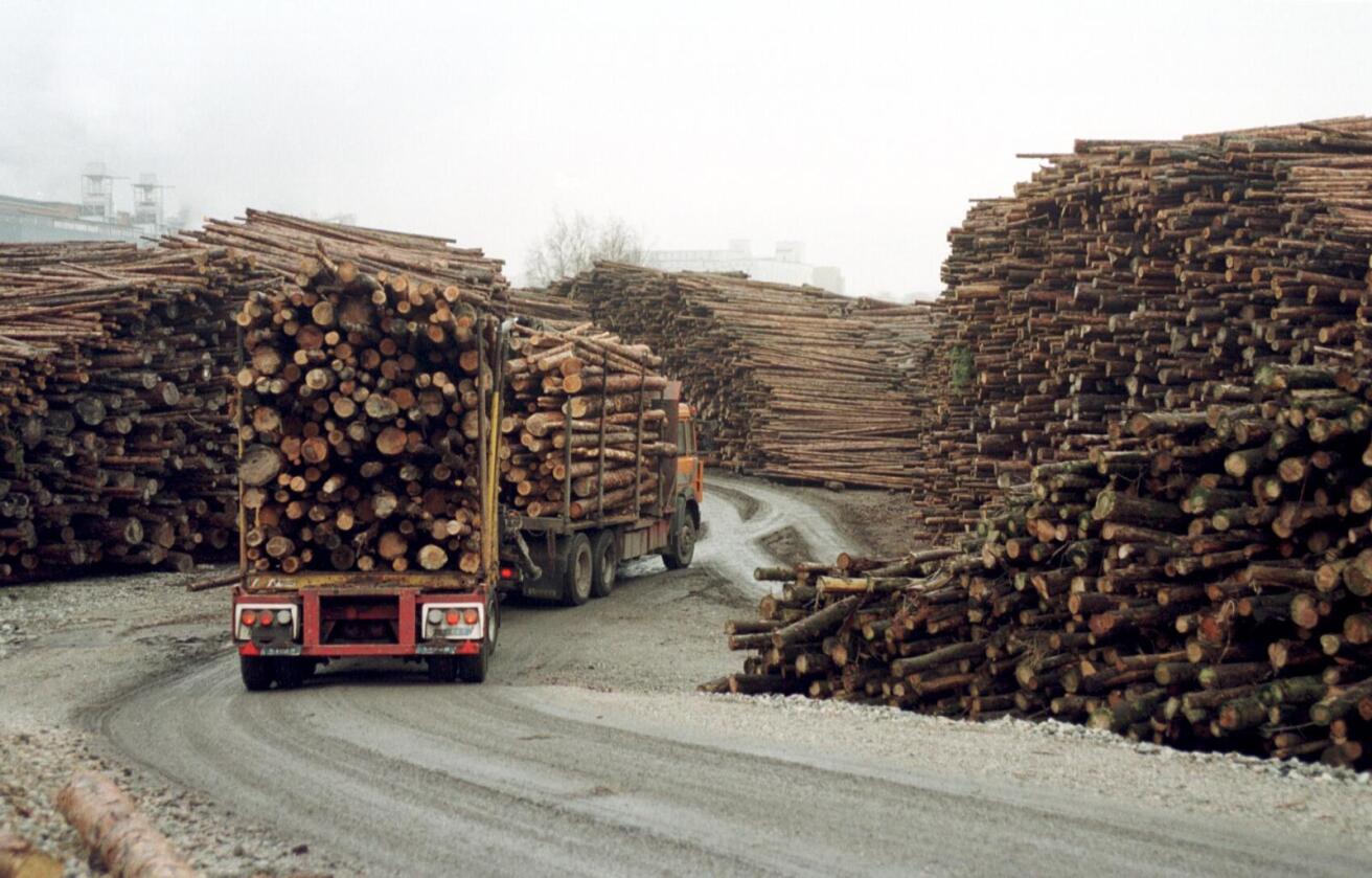 Mer på bil: Om kjøreveisavgiften blir gjeninnført, vil det føre til mer tømmertransport på vei og mindre på jernbane, mener skogeierne.   Foto: Mariann Tvete
