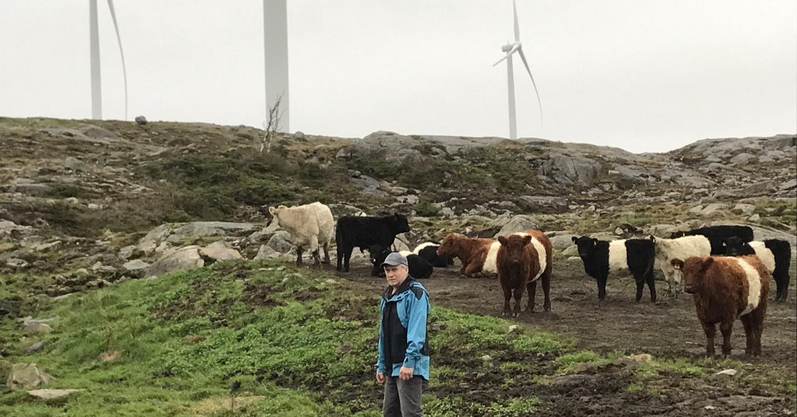 Tapte: Svein Matnisdal i Hå liker ikke tanken på å ha turgåere i området der sønnen har storfe på beite. Men han tapte i tingretten: Det kan settes opp friluftstiltak på eiendommen hans. (Foto: Privat)