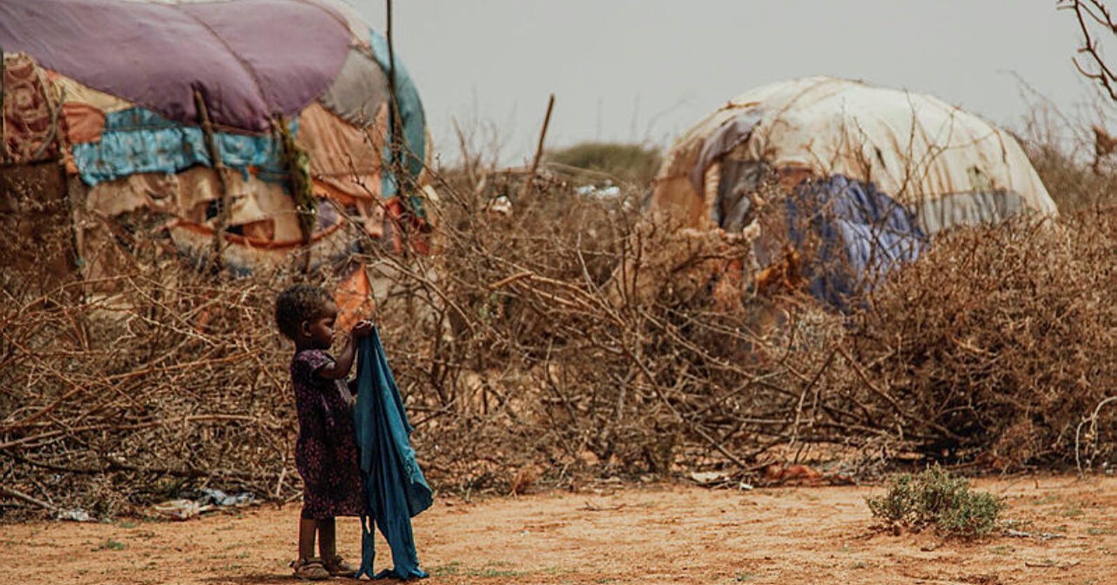 Sultpandemi: Afrikas Horn opplever den verste tørken på 40 år, og en påfølgende sultkatastrofe. Regjeringen er nødt til å konsentrere bistandsmidlene for å løse verdens sultpandemi, skriver forfatterne av kronikken. Foto: Kristoffer Nyborg/Utviklingsfondet