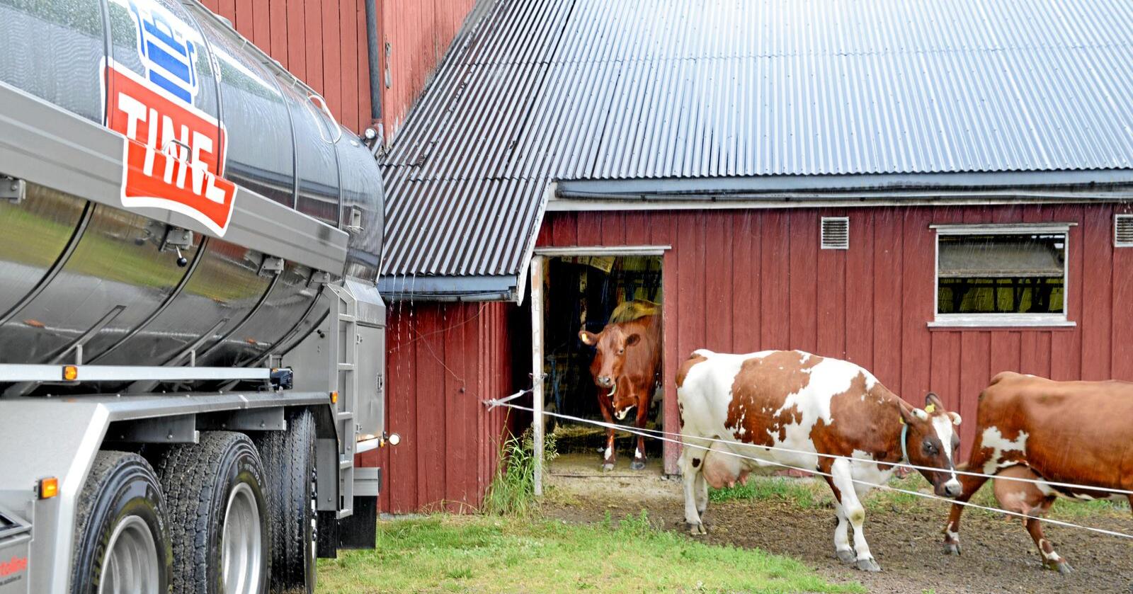 Norsk Bonde- og Småbrukarlag er skuffet over at det ikke er satt av økte investeringsmidler til små og mellomstore melkebruk i regjeringens forslag til statsbudsjett for 2021. Illustrasjonsfoto: Mariann Tvete