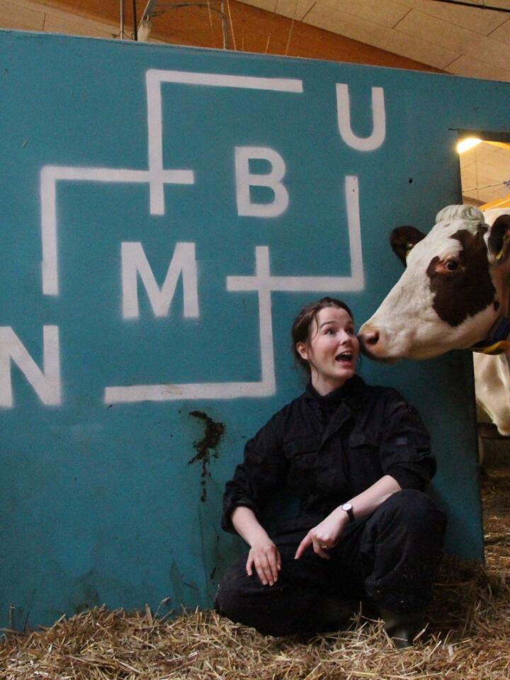 DILLA: Metanforsker og landbruksentusiast Kirsti Winnberg bruker store deler av døgnet på å forske på, snakke om og diskutere kunnskap om kua. 
