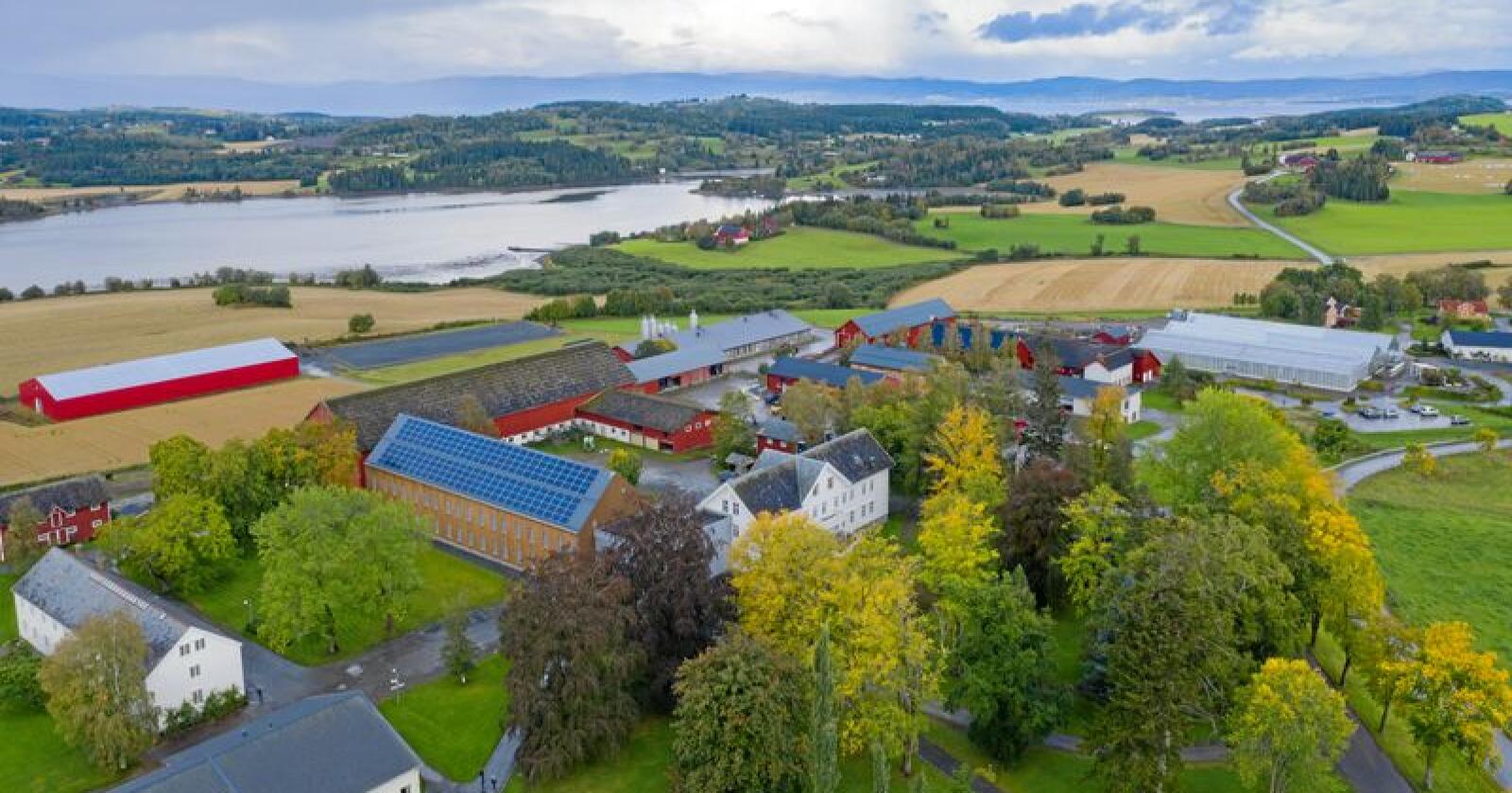 Mange bygg: Mære landbruksskole har et samlet byggeareal på om lag 18.000 kvadratmeter. Alle foto: Håvard Zeiner 