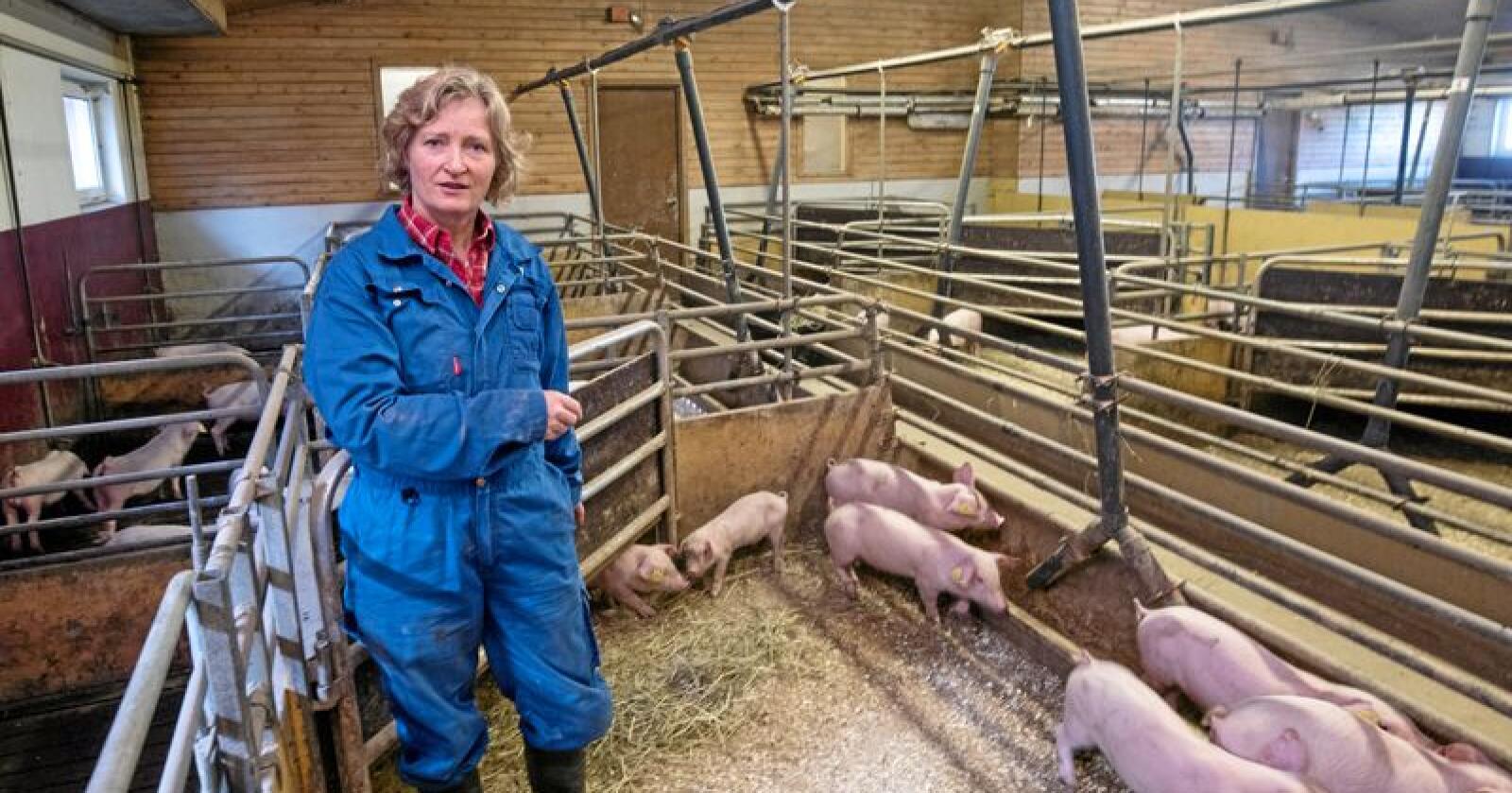 Kristin Ianssen sier det er en dramatisk utvikling i svineproduksjonsnæringa. Foto: Vidar Sandnes. 