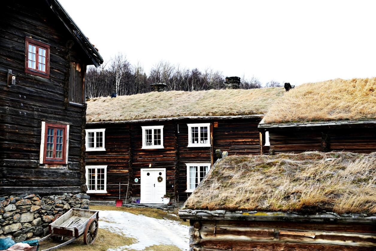 Flyttet: Stabile gårdstun ble ikke etablert før i vikingtiden, skriver kronikøren. Foto: Mariann Tvete.