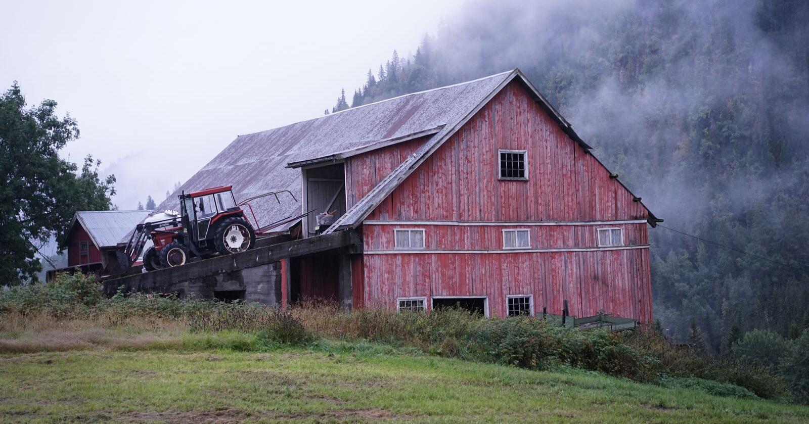 Antallet gårdsbruk i Norge er mer en halvert på 50 år. Illustrasjonsfoto: Benjamin Hernes Vogl