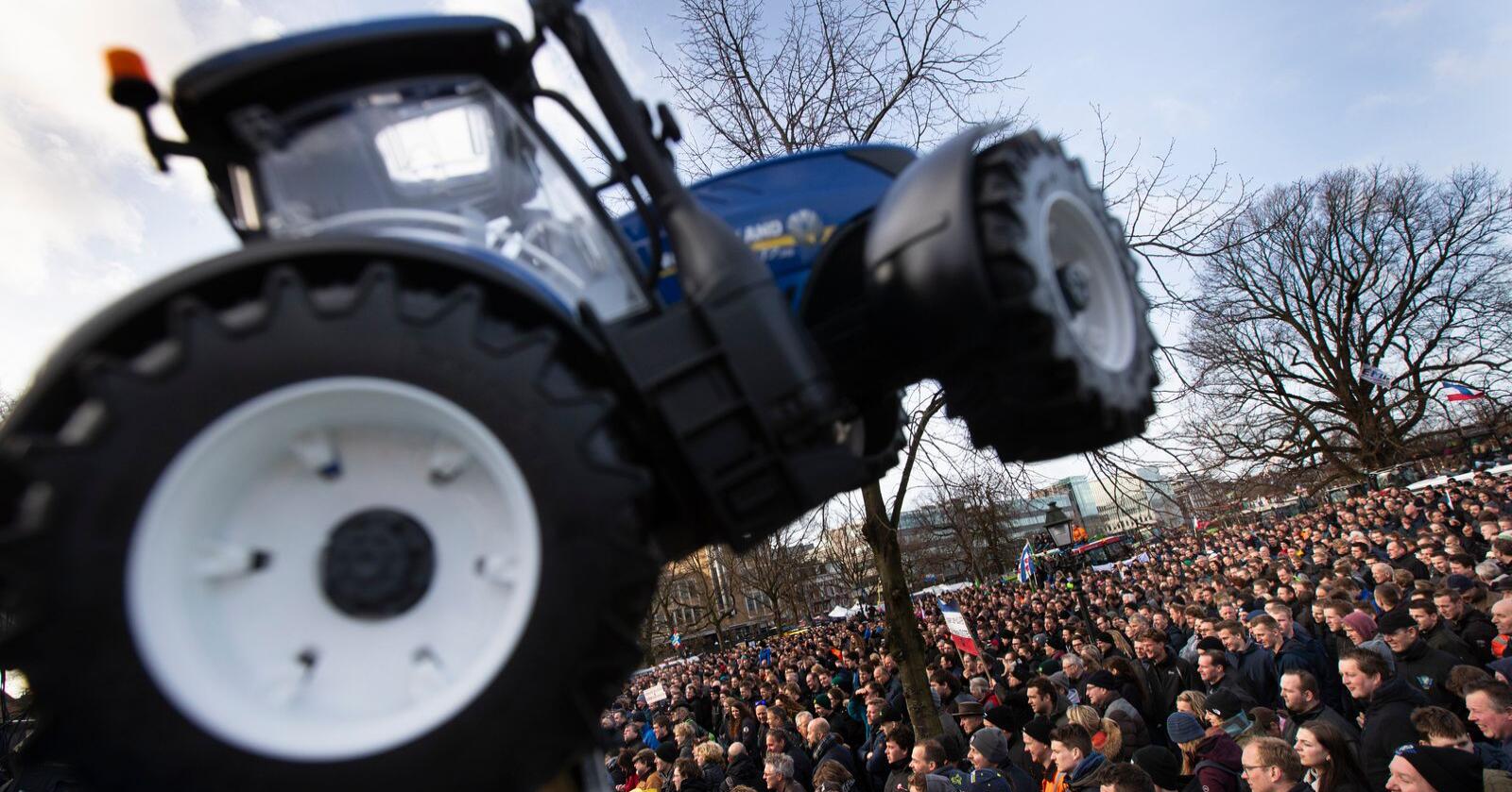 Bønder i Nederland har allerede tatt til gatene etter myndighetens plan for å redusere nitrogenutslipp i landet. Foto: AP/Peter Dejong/NTB