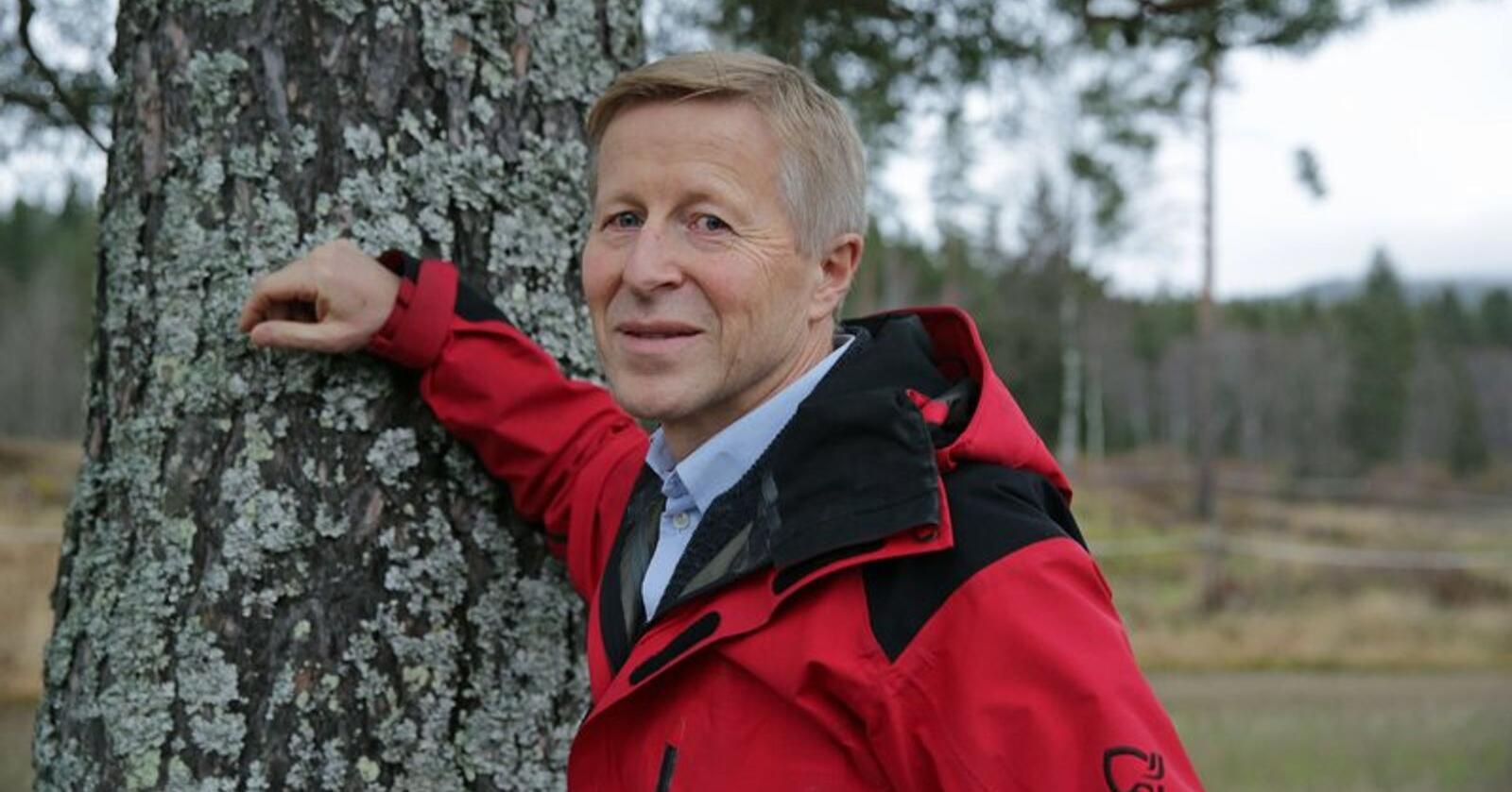 At det hogges noe gammel skog, betyr heller ikke at vi får mindre gammel skog, skriver Per Skorge, administrerende direktør i Norges Skogeierforbund. Foto: Gina Aakre