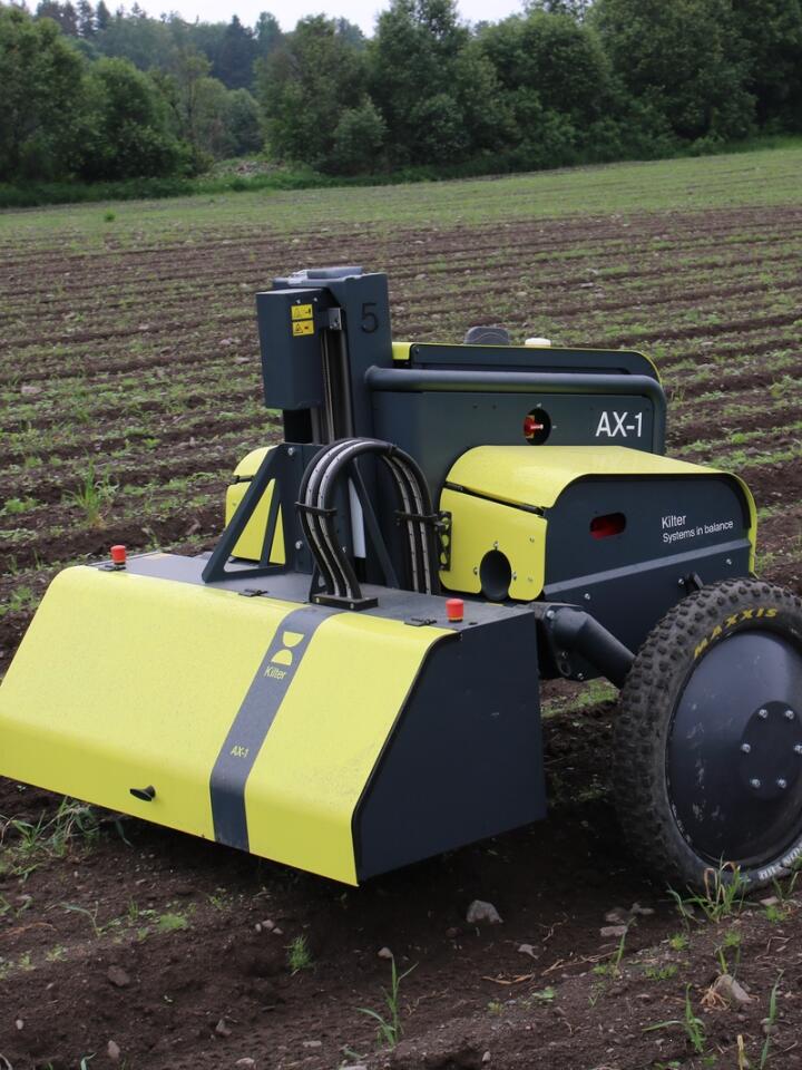 Gjør jobben: Den selvgående roboten punktsprøyter ugrasplantene i persilleåkeren hos Hasle med en kapasitet på 40–50 dekar i døgnet.