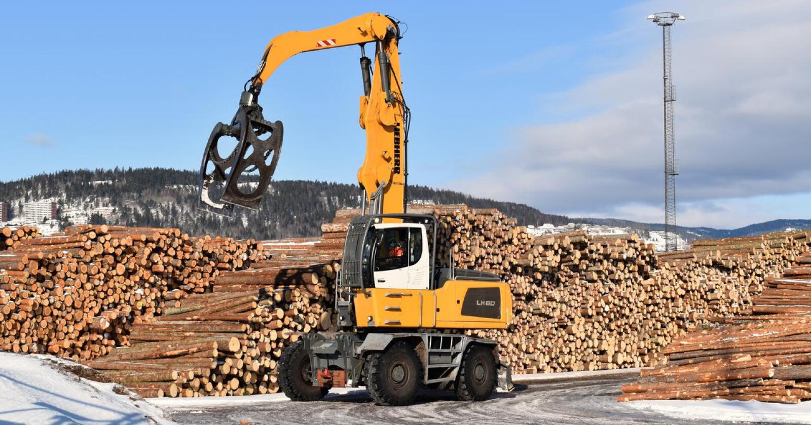 Eksportorientert: I dag eksporteres om lag hver tredje tømmerstokk. Alle partiene vil nå styrke treforedlingen her hjemme. Bildet er tatt på Lierstranda havn. (Foto: Viken Skog SA)
