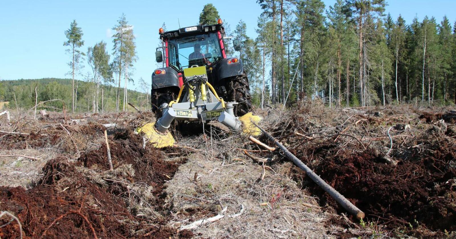 Mangfold og klima: Skogforvaltning er midt i de store samfunnsutfordringene som klima, biologisk mangfold og arealbruk, skriver Gudmund Nordtun. (Foto: Traktor)
