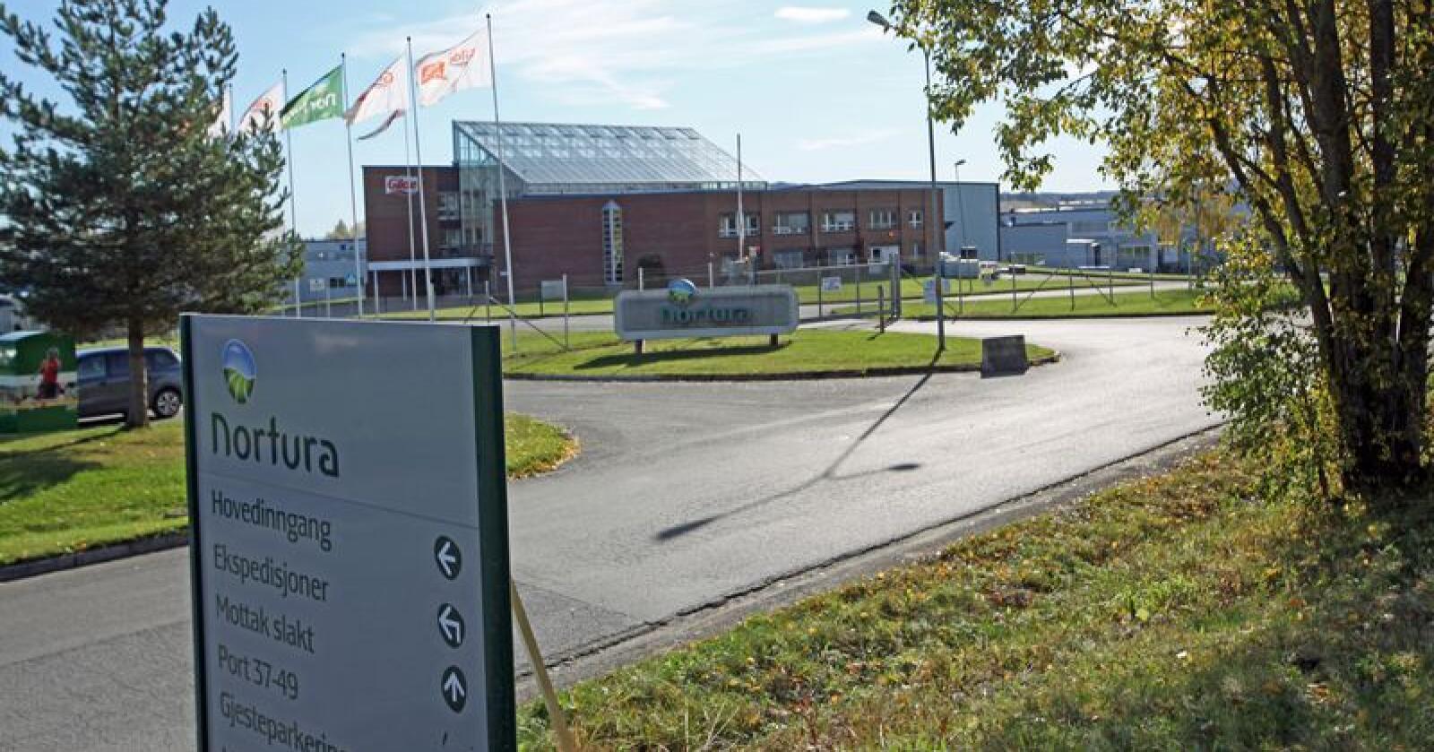 Nortura's anlegg på Rudshøgda er nabo med Oplandske Bioenergi's nye biokullsatsing.Foto: Stian Eide. 