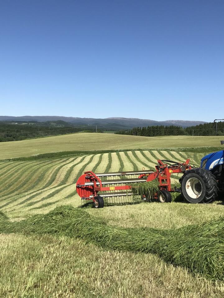 LITEN: Med 3-tonns traktor og tvillinghjul kan Knut Haga slå gras, både når forholdene er optimale, som på bildet, men også når det er for bløtt for større maskiner. Foto: Privat
