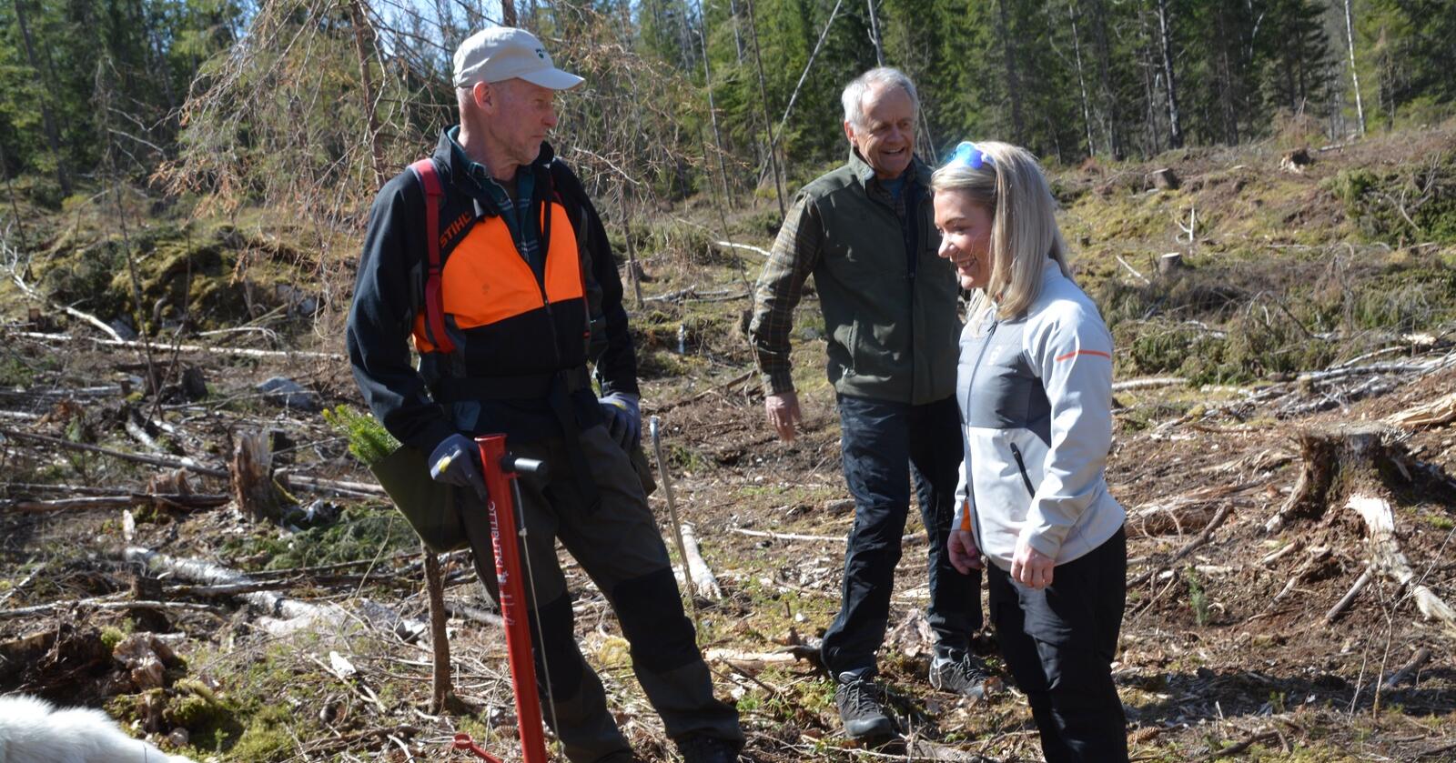 Skogbruksminister: I alt 45 millioner skogplanter er planlagt plantet i år. Landbruks- og matminister Sandra Borch (Sp) ble sist uke med på skogplanting i Lørenskog. 