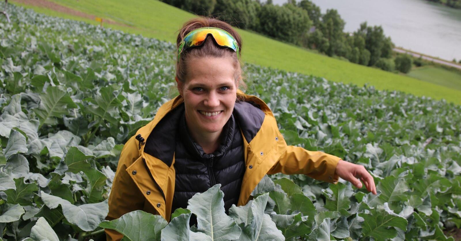 Lokale grønnsaker: Ida Gillebo dyrker grønnsaker for lokalmarkedet, og med jorder som ligger solvendt med Gudbrandsdalslågen nedenfor ligger forholdene godt til rette. Foto: Lars Olav Haug