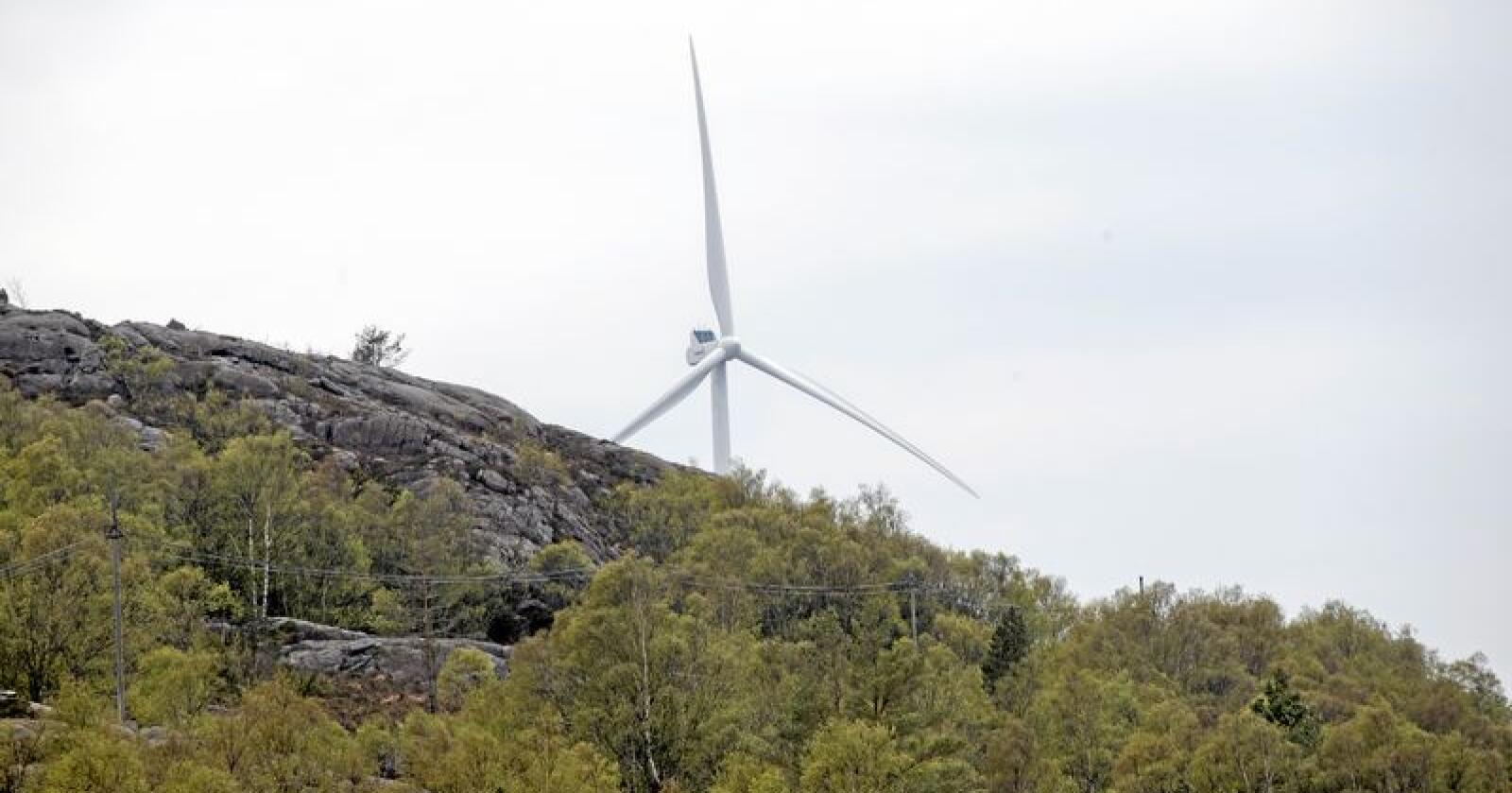 Vindkraft: Det er store naturinngrep med utbyggjing av vindkraft. Foto: Terje Pedersen / NTB scanpix