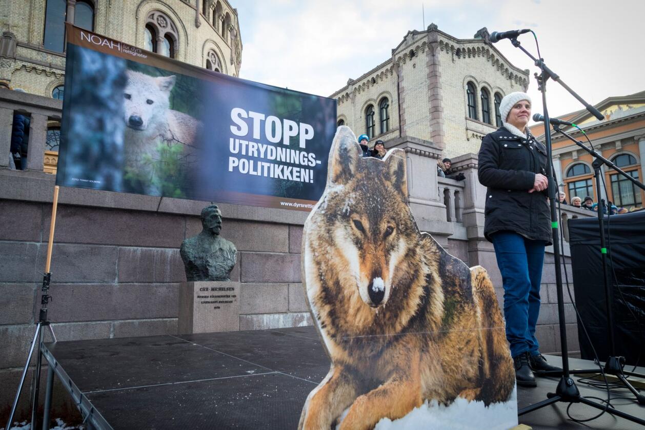 Farlig for bøndene: Norsk dyrehold er utryddingstruet av Noah og deres leder Siri Martinsen. Foto: Heiko Junge / NTB