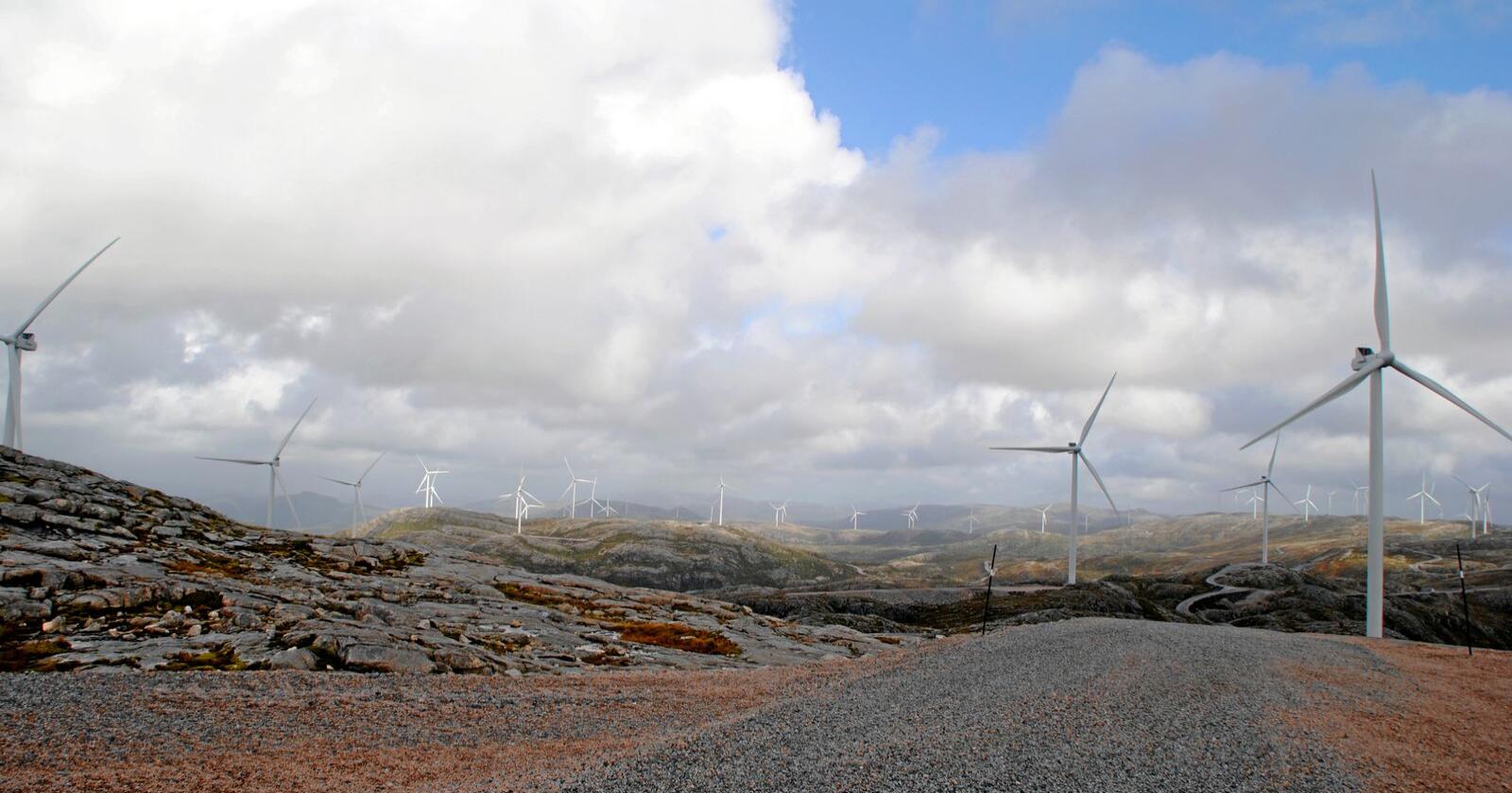 Omstridt: Energiministeren gjenopptar vindkraftbehandlingen, men han kan ikke være trygg på at kommunene vil stille opp. Foto: Lars Bilit Hagen