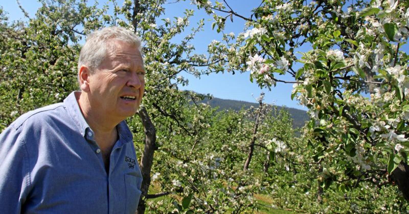 Marius Egge er produsent av epler, eplecider, eplemost i Lier i Buskerud. Mandag får bedriften besøk av  SMB-patruljen, som skal hjelpe bedrifter i møte med det offentlige. Foto: Lars Bilit Hagen 