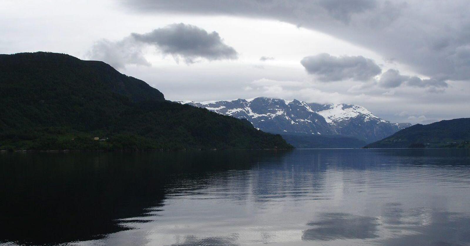 Sjødeponi er kritisk for alt liv i Førdefjorden, og for villakssmolten som skal finne føde på vei ut fjorden, mener Ragnhild Brennslett, styreleder i Norske Lakseelver. (Foto: Wikimedia)