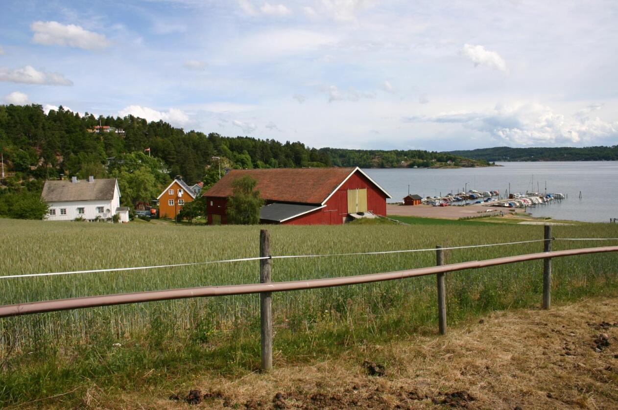 Fra denne helgen trådte flere av Jon Georg Dales endringer i eiendomsreguleringer i kraft. Bildet er fra Vestfold. Foto: Georg Solberg