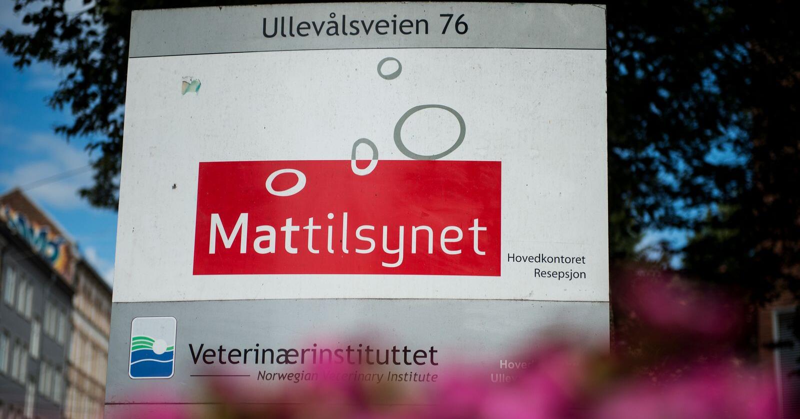 Mattilsynet har innført portforbud for fjærfe i 37 kommuner på Østlandet. Foto: Carina Johansen / NTB
