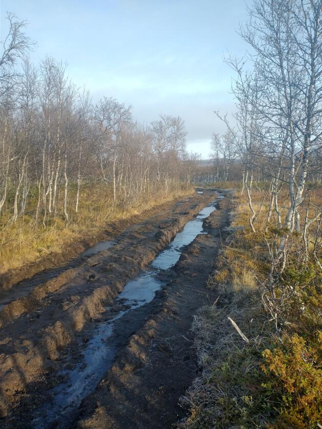 Slik ser terrenget ut etter at en person med traktor har kjørt i utmarka i Os kommune i Østerdalen. Foto: Os kommune